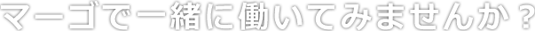 マーゴで一緒に働いてみませんか？